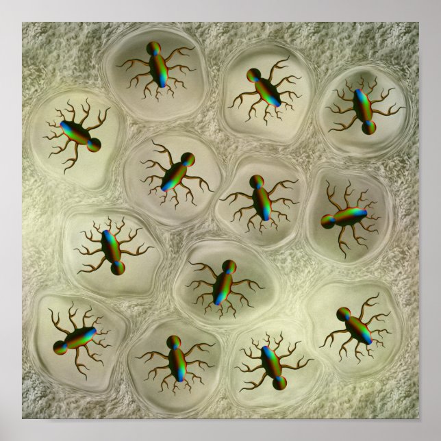 Póster Nido de insectos extraños (Frente)