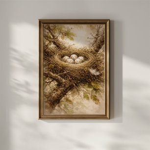 Póster Nido de pájaro antiguo con huevos