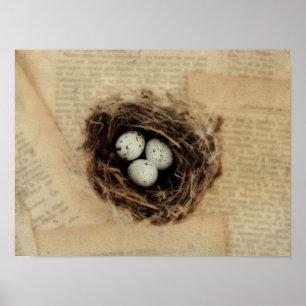Póster Nido de Pájaro con Huevos Pascua Vintage Moderno