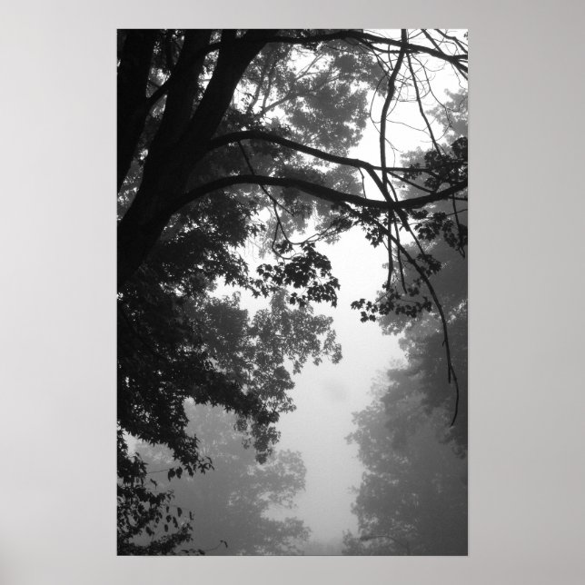 Póster Niebla (Frente)