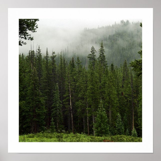 Póster Niebla (Frente)