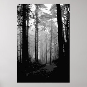 Póster Niebla 10 del bosque