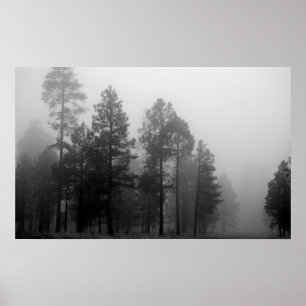Póster Niebla de Arizona