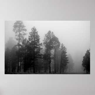 Póster Niebla de Arizona