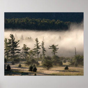Póster Niebla de la mañana en el Adirondacks