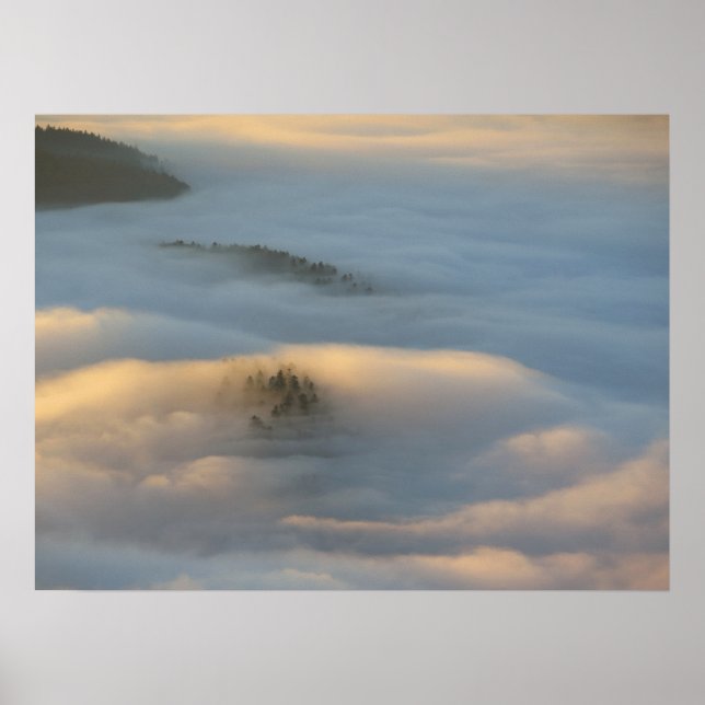 Póster Niebla del amanecer en las montañas Pieniny (Frente)