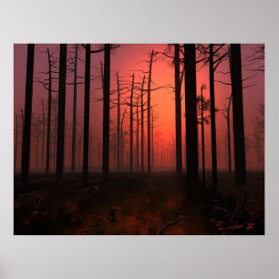 Póster Niebla del atardecer