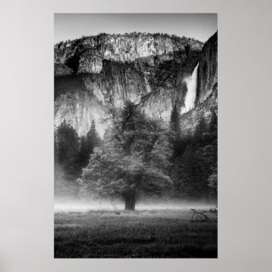 Póster Niebla en la pradera