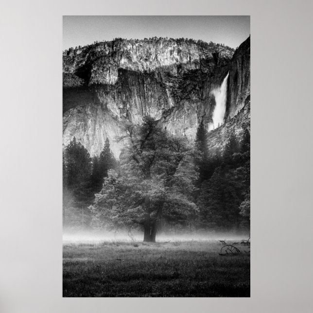 Póster Niebla en la pradera (Frente)