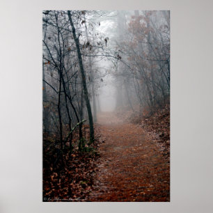 Póster Niebla inviernos - No hay fin a la vista en el Pos