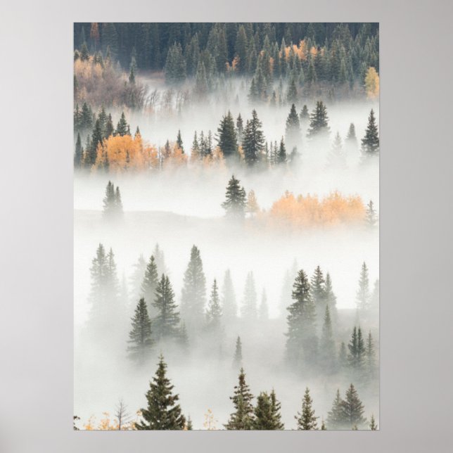 Póster Niebla matinal cubre el bosque de montaña (Frente)
