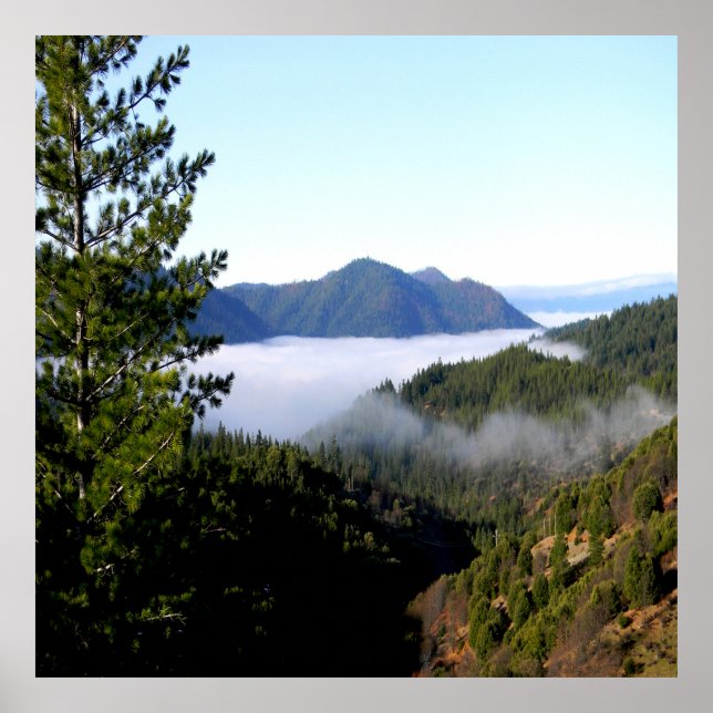Póster Niebla matutina...... (Frente)