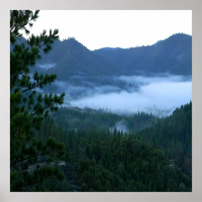 Póster Niebla matutina.... (Frente)
