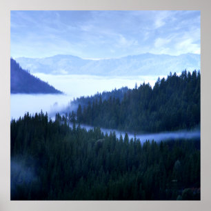 Póster Niebla matutina.....