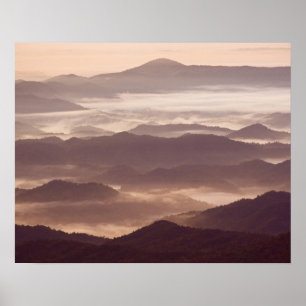 Póster Niebla matutina en el sur de los Apalaches