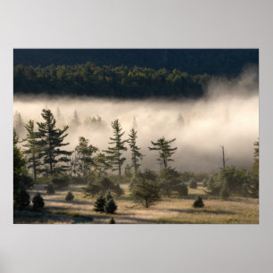 Póster Niebla matutina en los Adirondacks 4