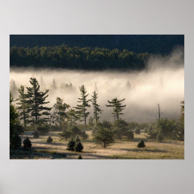 Póster Niebla matutina en los Adirondacks 4 (Frente)