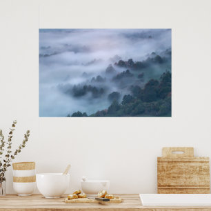 Póster Niebla matutina que rueda a través de los árboles