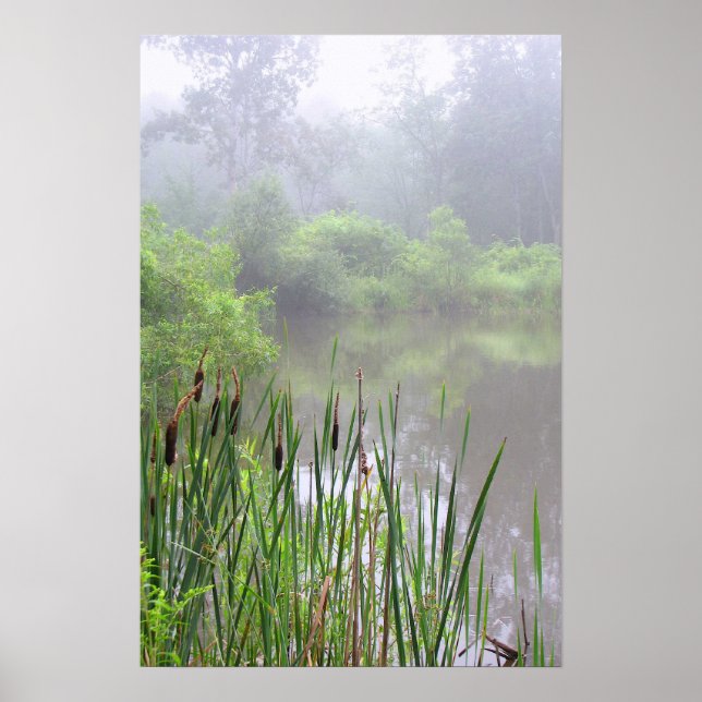 Póster Niebla matutina sobre el estanque (Frente)
