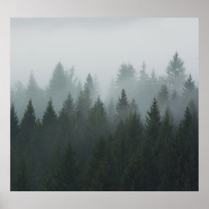 Póster Niebla otoñal del bosque de montaña Misty