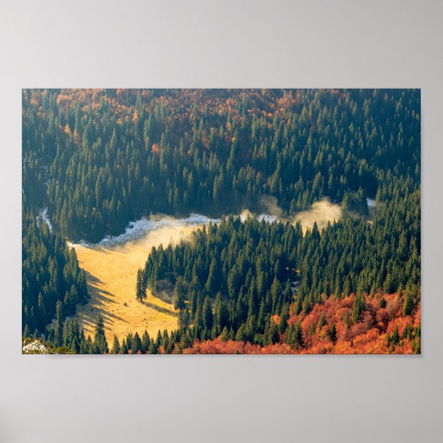 Póster Niebla rodando en un solitario campo otoñal (Frente)