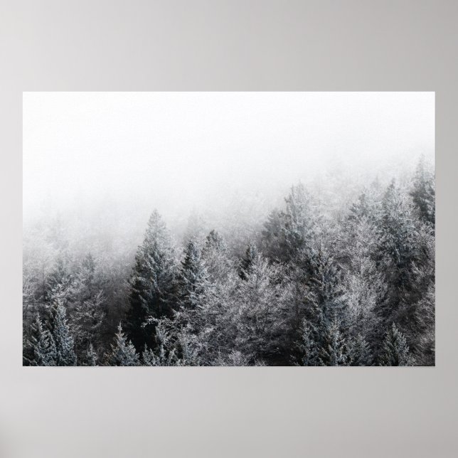 Póster Niebla sobre bosque congelado (Frente)
