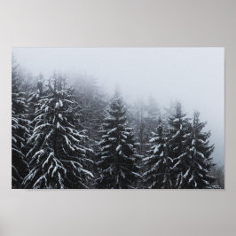 Póster Niebla sobre bosque de abetos cubierto de nieve en