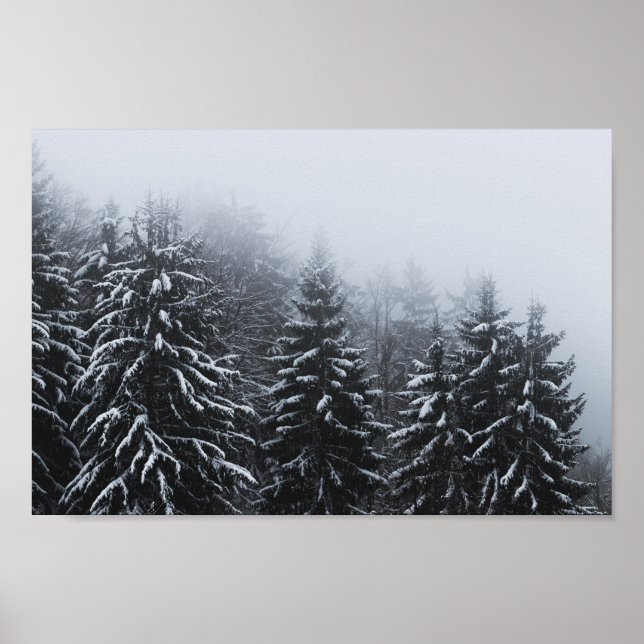 Póster Niebla sobre bosque de abetos cubierto de nieve en (Frente)