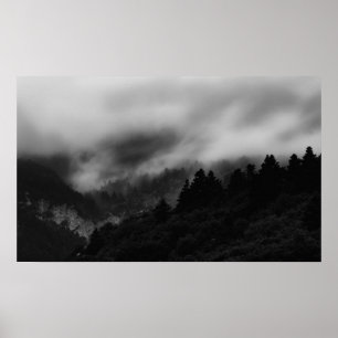 Póster Niebla sobre el bosque