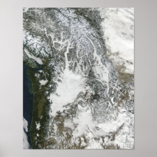 Póster Niebla y nieve en el noroeste pacífico (col