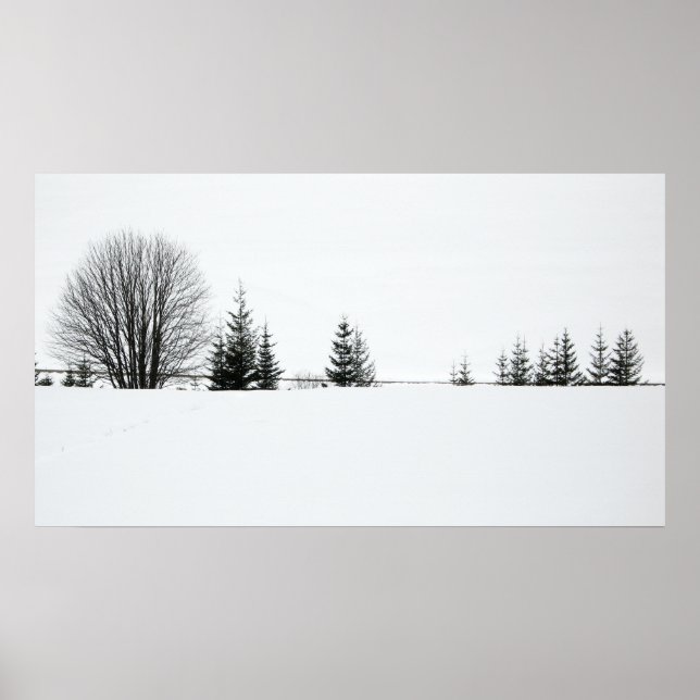 Póster Nieve (Frente)
