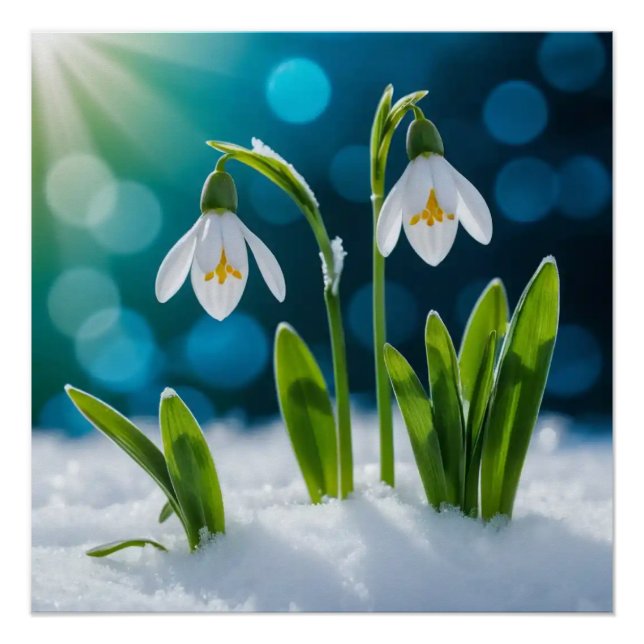 Póster Nieve #1 arte en pared (Anverso)