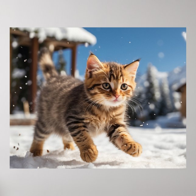Póster *~* Nieve corriendo Kitty 5:4 Gato de gatitos AP68 (Frente)