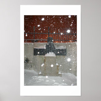 Póster Nieve cruzada