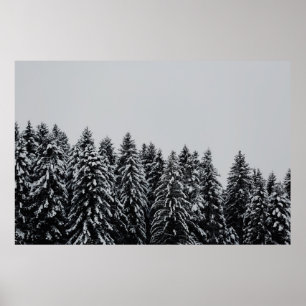 PÓSTER NIEVE CUBIERTA DE ÁRBOL BAJO CLOUDY SKY