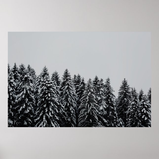 PÓSTER NIEVE CUBIERTA DE ÁRBOL BAJO CLOUDY SKY (Frente)