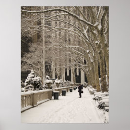 Póster Nieve de Bryant Park
