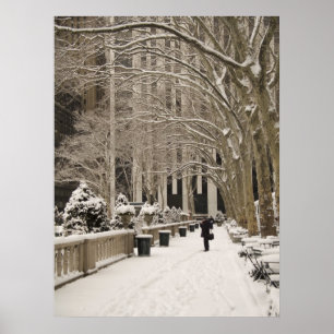 Póster Nieve de Bryant Park