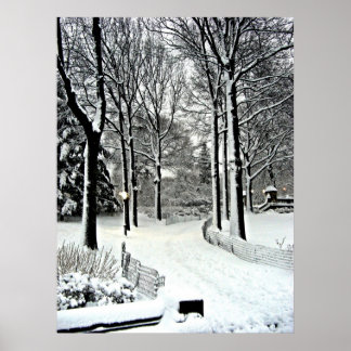 Póster Nieve de Central Park 2010 - CIMG6446