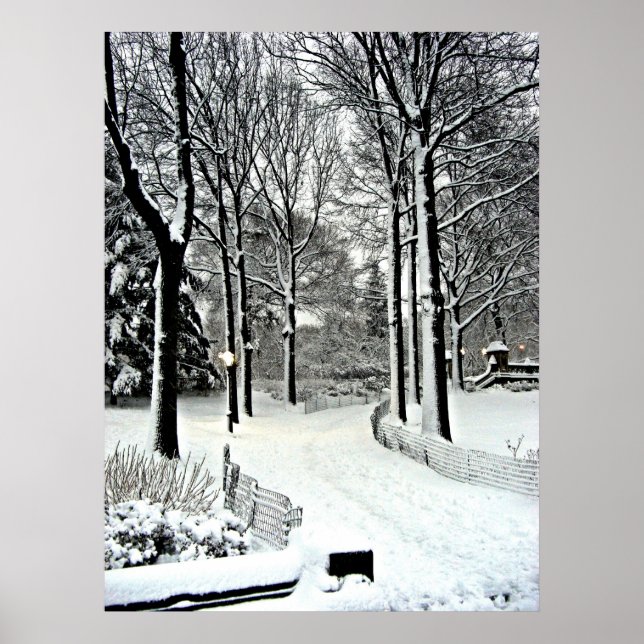 Póster Nieve de Central Park 2010 - CIMG6446 (Frente)