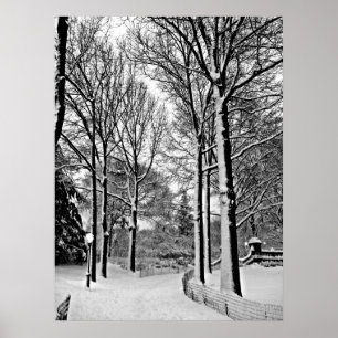 Póster Nieve de Central Park 2010 - CIMG6447-a