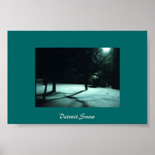 Póster Nieve de Detroit
