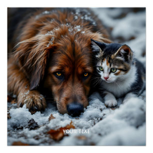 Póster Nieve de gato de perro maldición