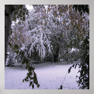 Póster Nieve de invierno
