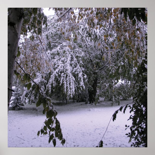 Póster Nieve de invierno (Frente)