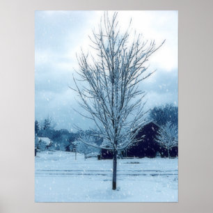 Póster Nieve de invierno