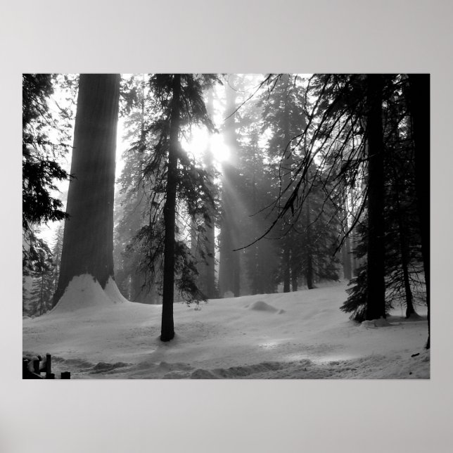 Póster Nieve de invierno en el Parque Nacional del Cañón  (Frente)