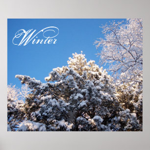 Póster Nieve de invierno en Treetops