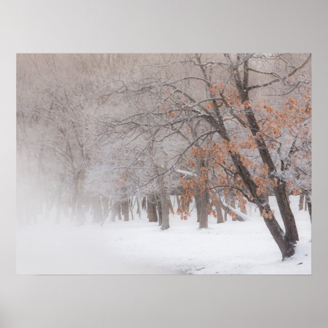 Póster Nieve de invierno | Lago Kussharo (Frente)