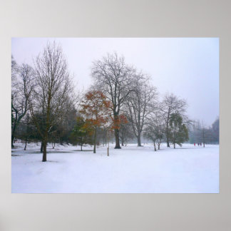 Póster Nieve de invierno, Parque Bute, Cardiff, Gales